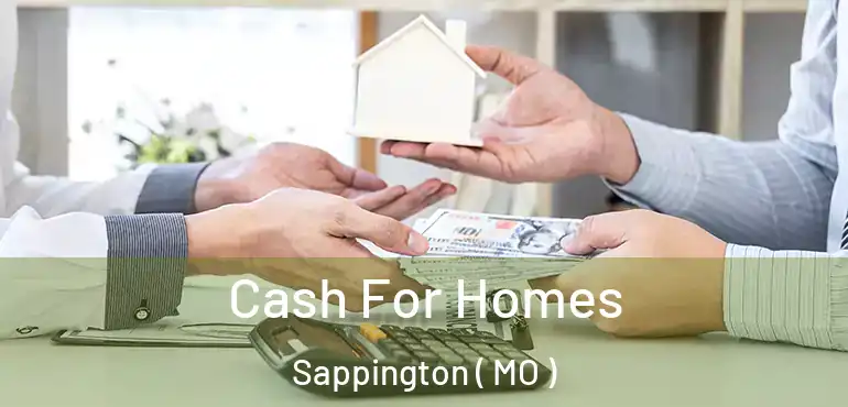  Cash For Homes Sappington ( MO )