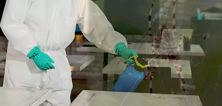 Why Buyers Still Want Homes With Pest Infestations in Missouri, MO?