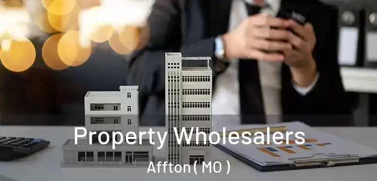  Property Wholesalers Affton ( MO )