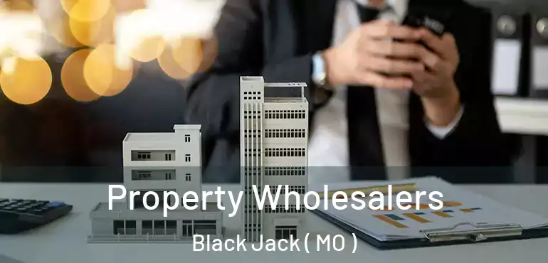  Property Wholesalers Black Jack ( MO )