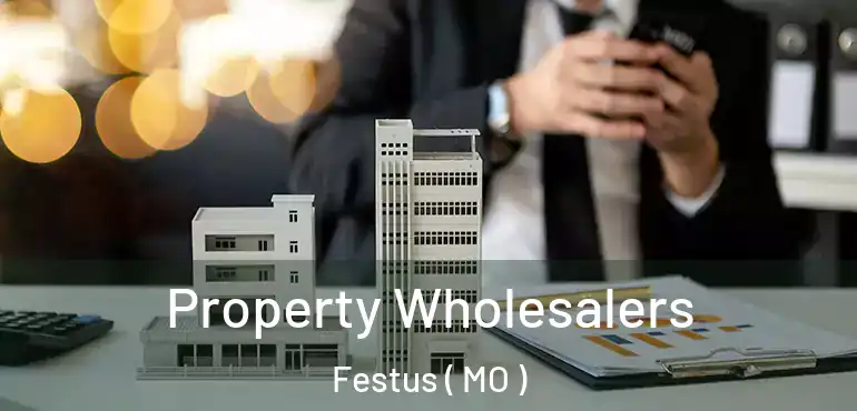  Property Wholesalers Festus ( MO )