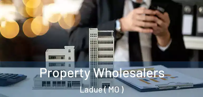  Property Wholesalers Ladue ( MO )