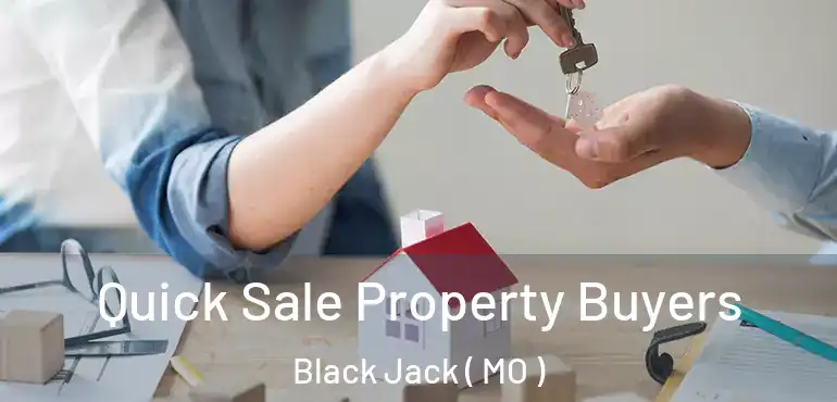  Quick Sale Property Buyers Black Jack ( MO )