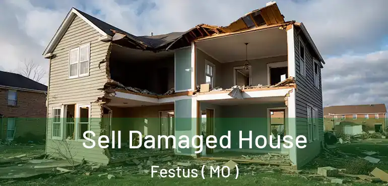  Sell Damaged House Festus ( MO )