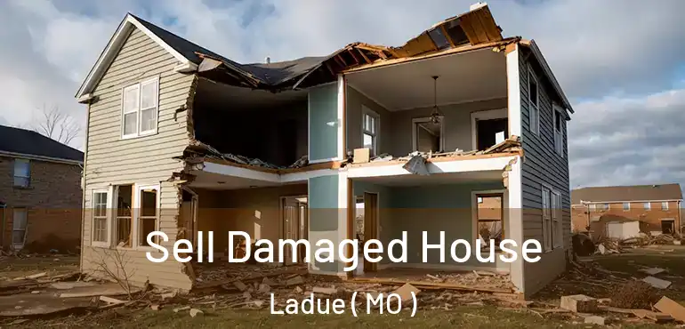  Sell Damaged House Ladue ( MO )