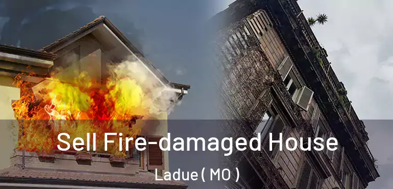  Sell Fire-damaged House Ladue ( MO )