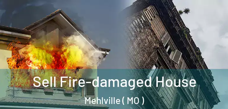  Sell Fire-damaged House Mehlville ( MO )