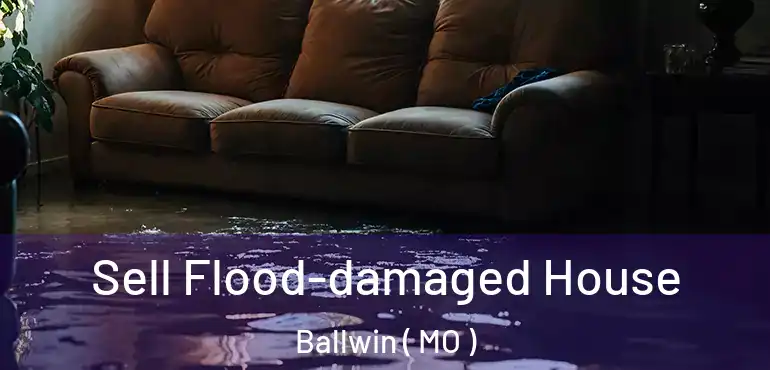  Sell Flood-damaged House Ballwin ( MO )