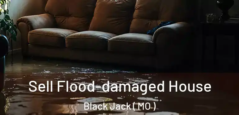  Sell Flood-damaged House Black Jack ( MO )