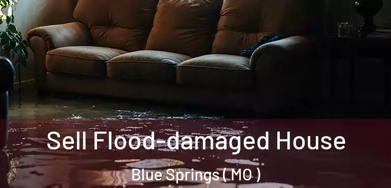  Sell Flood-damaged House Blue Springs ( MO )