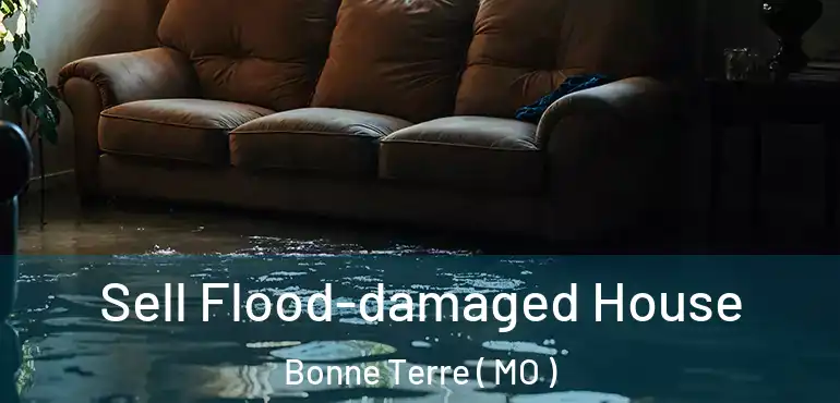  Sell Flood-damaged House Bonne Terre ( MO )