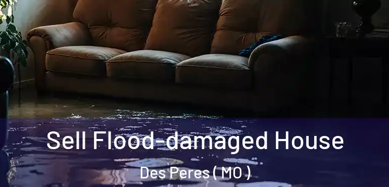  Sell Flood-damaged House Des Peres ( MO )
