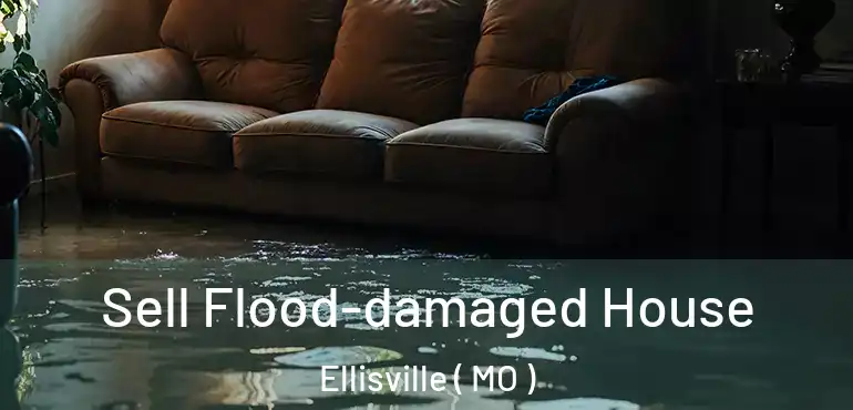  Sell Flood-damaged House Ellisville ( MO )