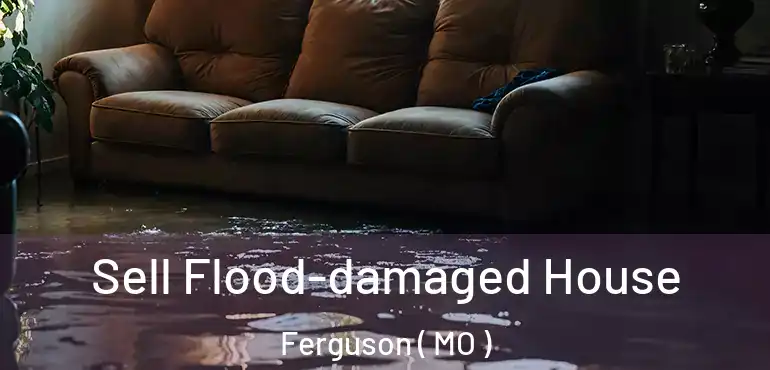  Sell Flood-damaged House Ferguson ( MO )