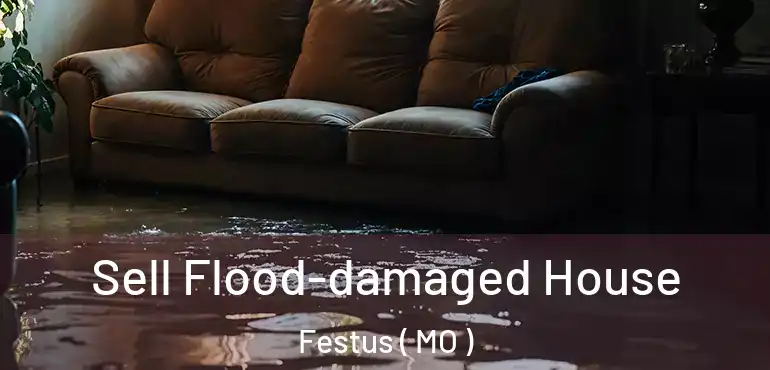  Sell Flood-damaged House Festus ( MO )