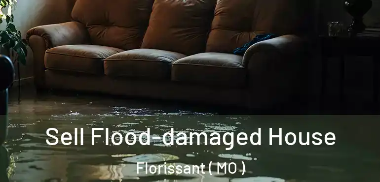  Sell Flood-damaged House Florissant ( MO )