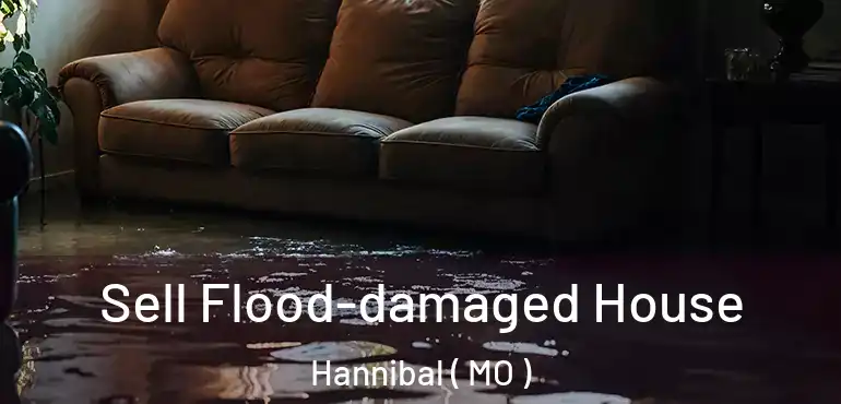  Sell Flood-damaged House Hannibal ( MO )