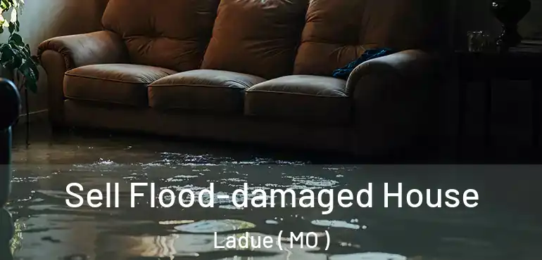  Sell Flood-damaged House Ladue ( MO )