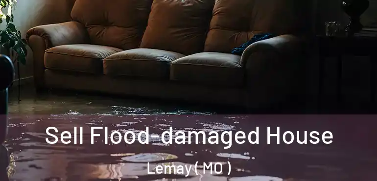  Sell Flood-damaged House Lemay ( MO )
