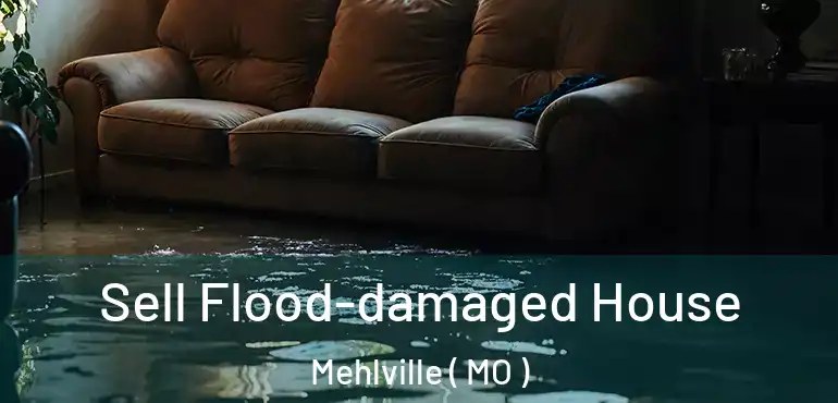  Sell Flood-damaged House Mehlville ( MO )