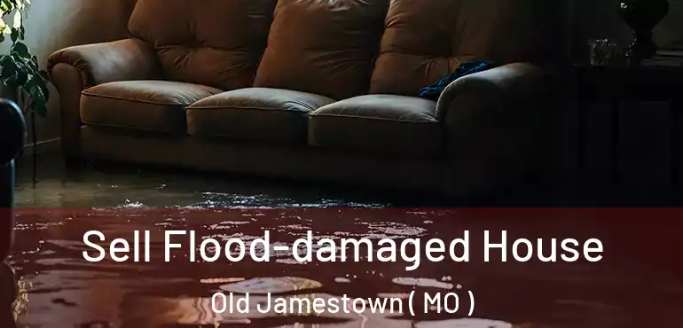  Sell Flood-damaged House Old Jamestown ( MO )