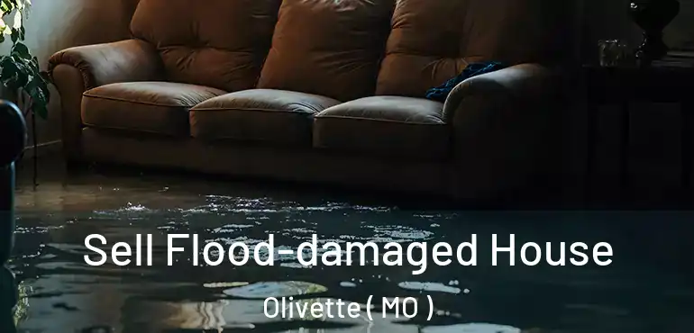  Sell Flood-damaged House Olivette ( MO )