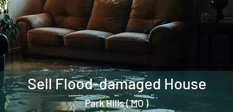  Sell Flood-damaged House Park Hills ( MO )
