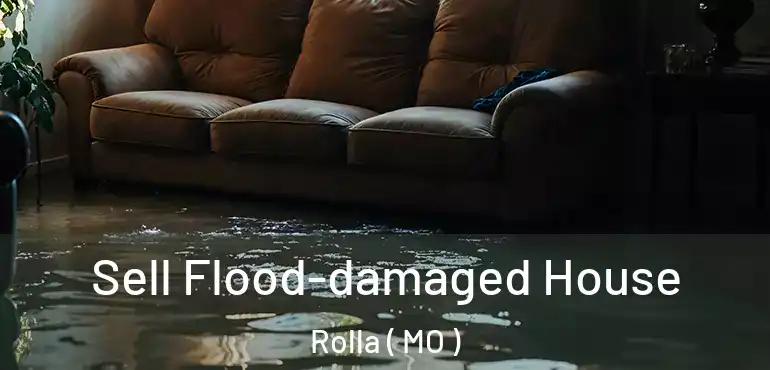  Sell Flood-damaged House Rolla ( MO )