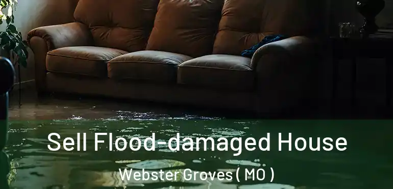  Sell Flood-damaged House Webster Groves ( MO )
