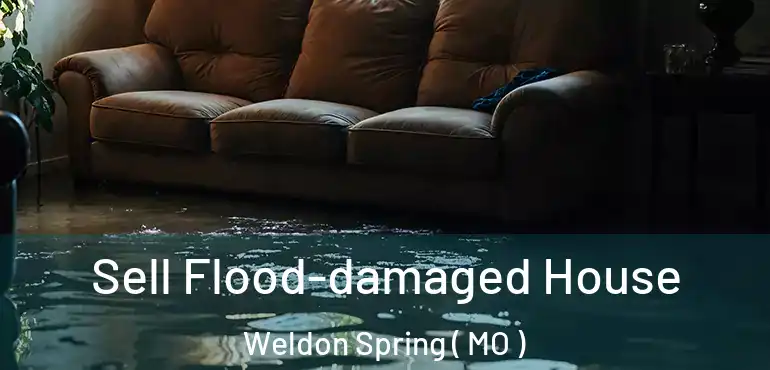  Sell Flood-damaged House Weldon Spring ( MO )