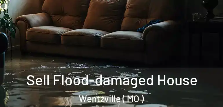  Sell Flood-damaged House Wentzville ( MO )