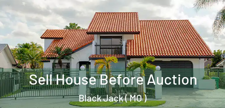  Sell House Before Auction Black Jack ( MO )