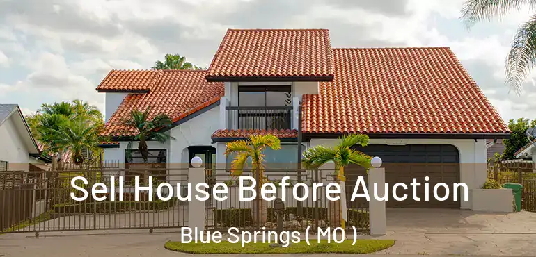  Sell House Before Auction Blue Springs ( MO )