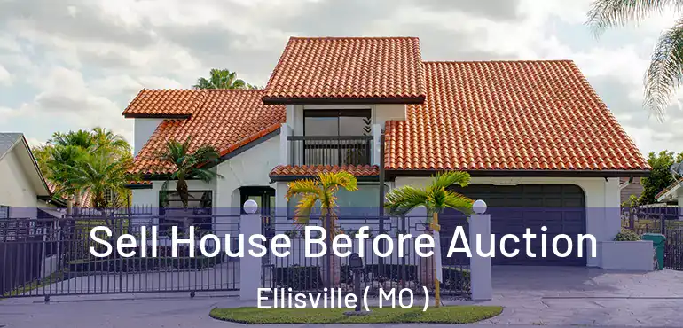  Sell House Before Auction Ellisville ( MO )