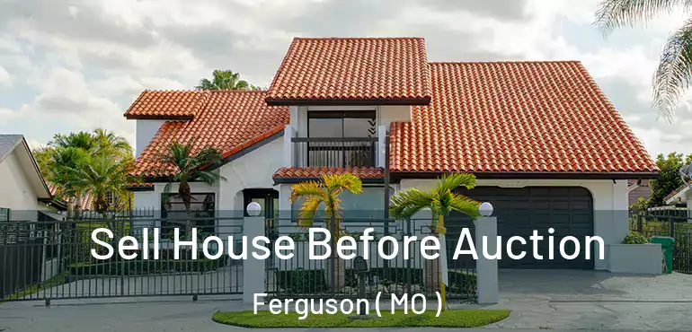  Sell House Before Auction Ferguson ( MO )