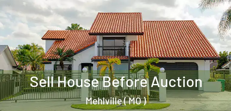  Sell House Before Auction Mehlville ( MO )