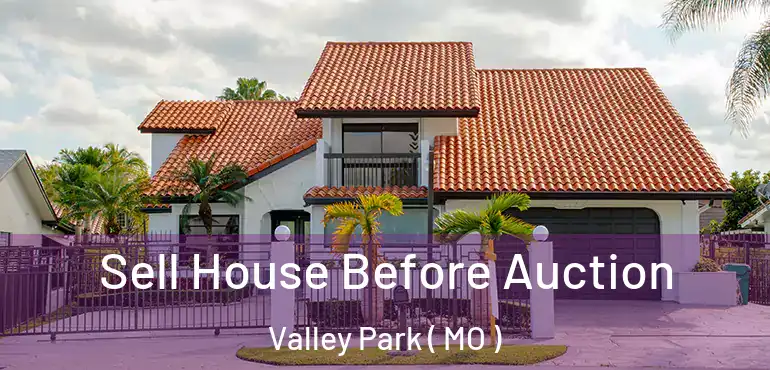  Sell House Before Auction Valley Park ( MO )