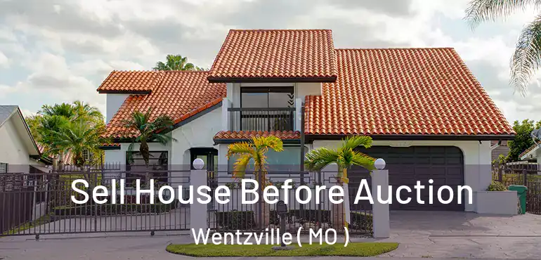  Sell House Before Auction Wentzville ( MO )