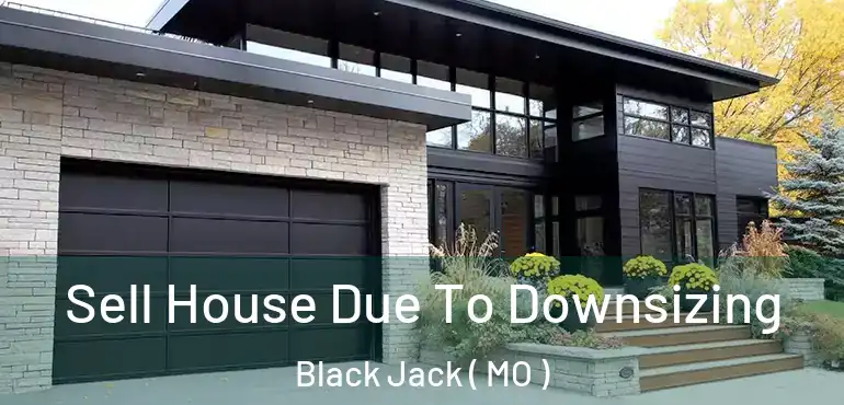  Sell House Due To Downsizing Black Jack ( MO )
