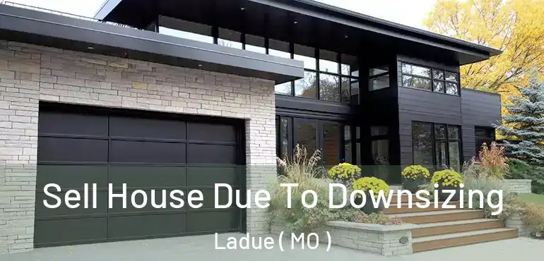  Sell House Due To Downsizing Ladue ( MO )