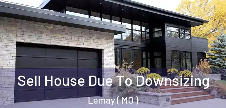  Sell House Due To Downsizing Lemay ( MO )