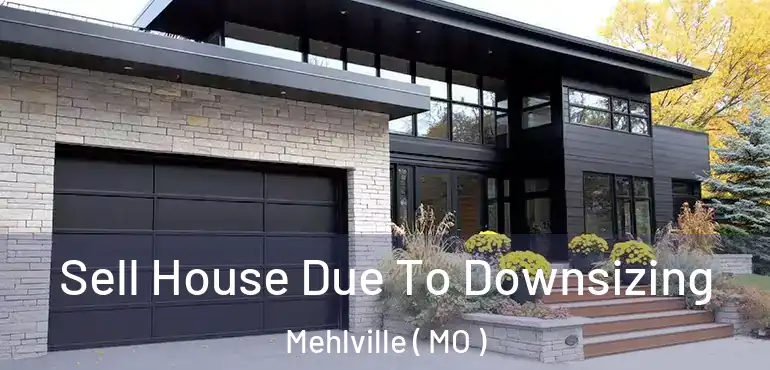  Sell House Due To Downsizing Mehlville ( MO )