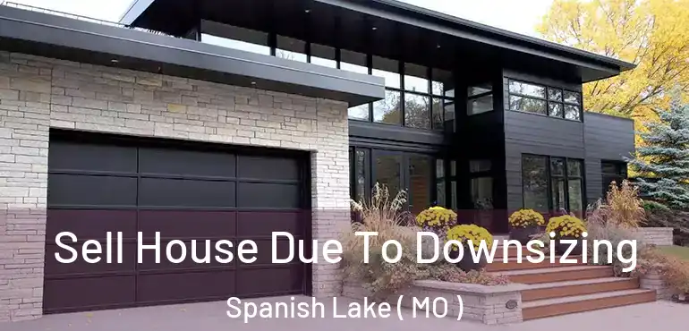  Sell House Due To Downsizing Spanish Lake ( MO )