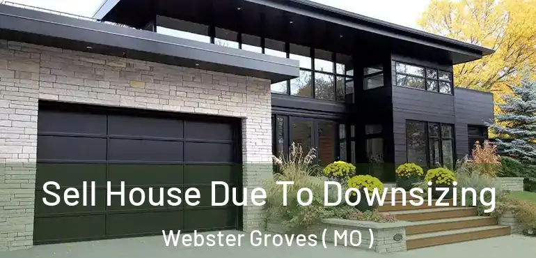  Sell House Due To Downsizing Webster Groves ( MO )