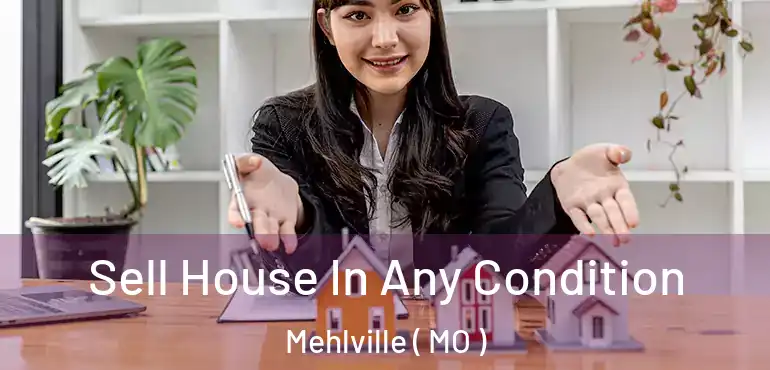  Sell House In Any Condition Mehlville ( MO )