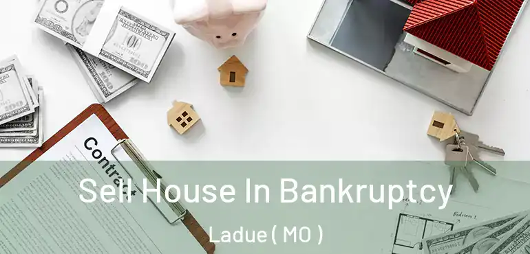  Sell House In Bankruptcy Ladue ( MO )