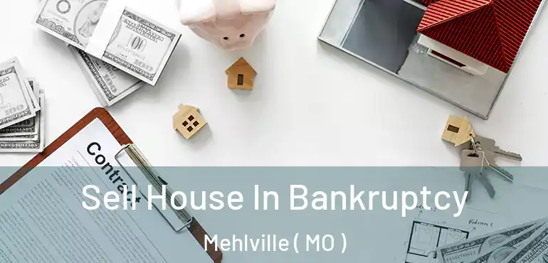  Sell House In Bankruptcy Mehlville ( MO )