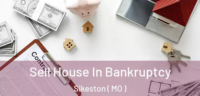  Sell House In Bankruptcy Sikeston ( MO )