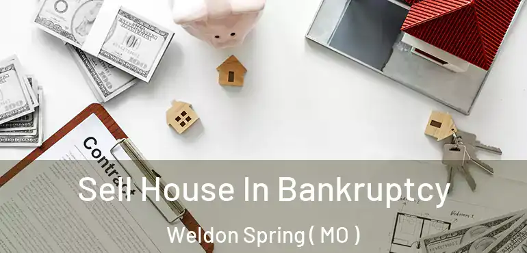  Sell House In Bankruptcy Weldon Spring ( MO )