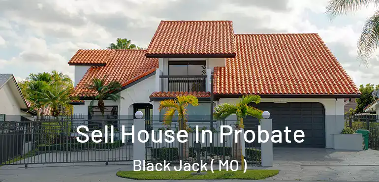  Sell House In Probate Black Jack ( MO )